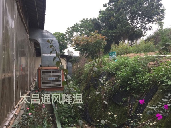 餐廳太熱？環(huán)?？照{(diào)為你送清風(fēng)